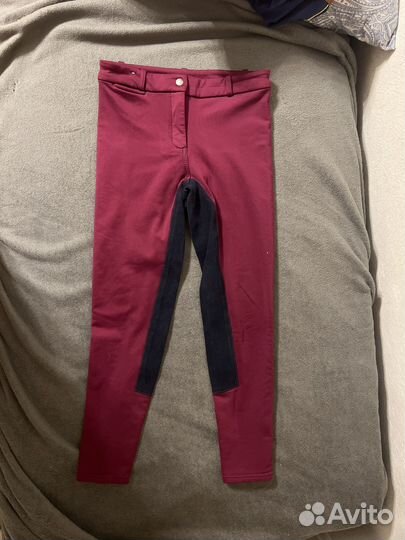 Конные бриджи