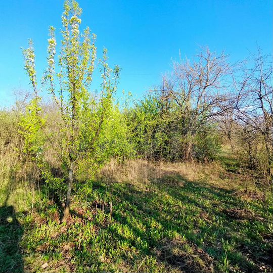 Дача 20 м² на участке 6 сот.