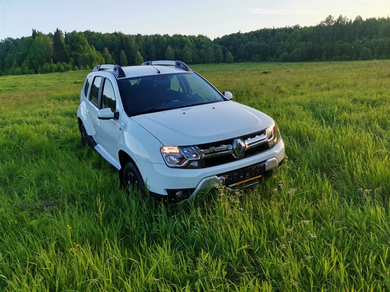 Renault Duster: фото владельца