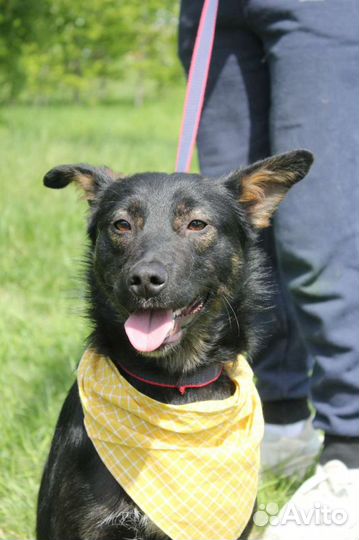 Заберите малыша из приюта