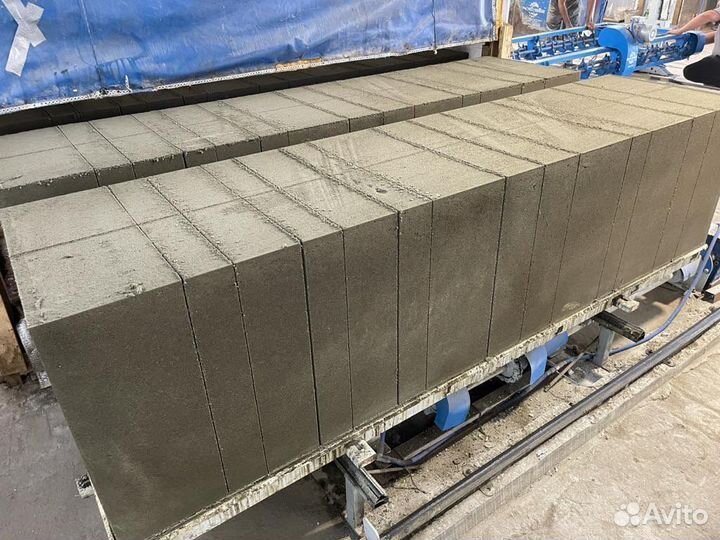 Газоблоки 250-300-600 D500