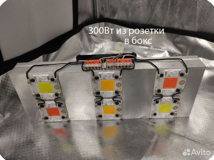 Фитолампы на полный цикл