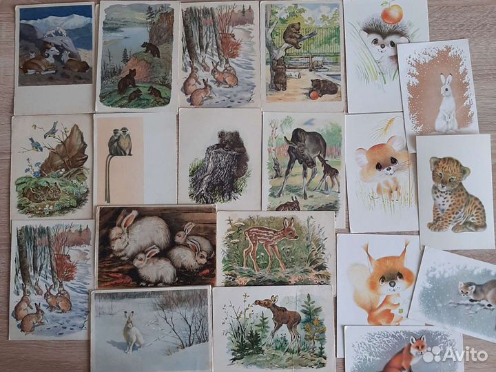 Открытки Мир птиц и рыб и животных