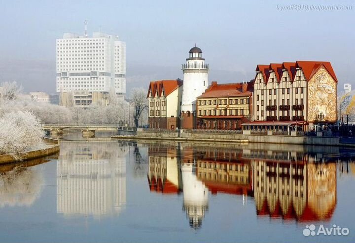 Обзорная по Калининграду с органным концертом