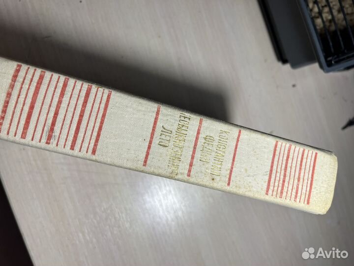 Необыкновенное лето