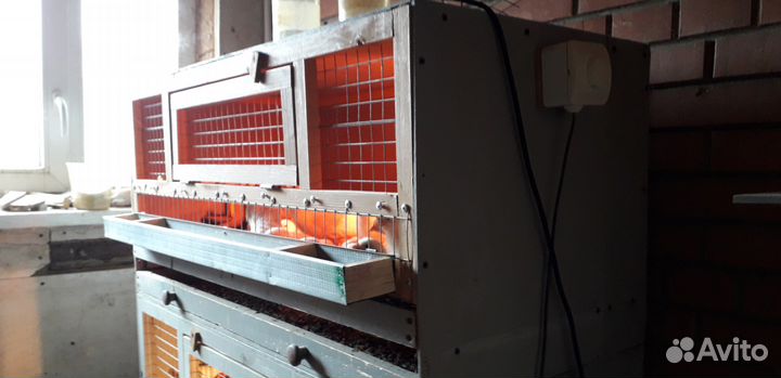 Оборудование для птиц