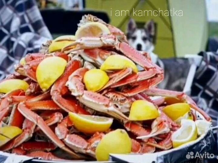 Ланч на Тихом океане. Туры Камчатка