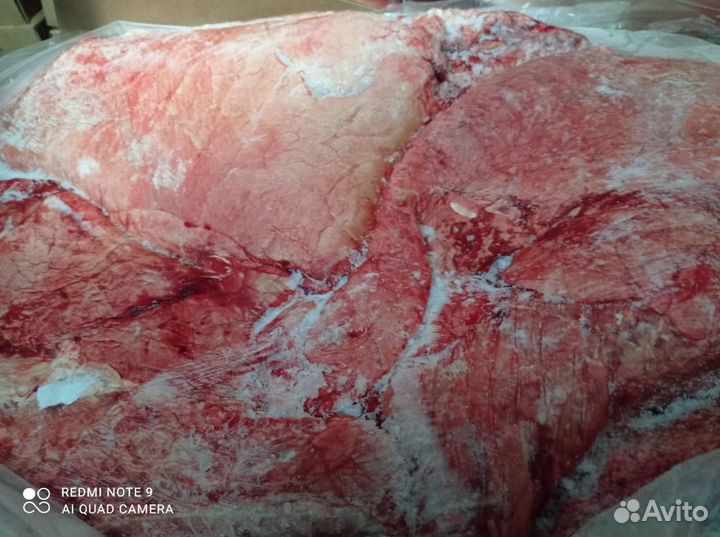 Корма для собак