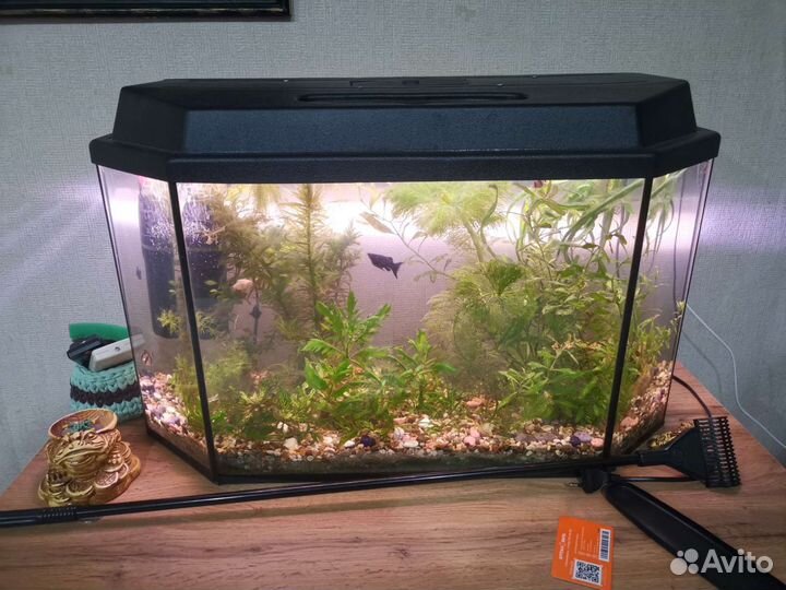 Аквариум 70 литров