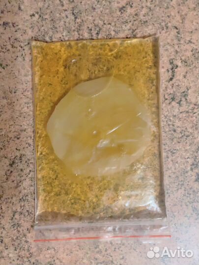 Чайный гриб Комбуча