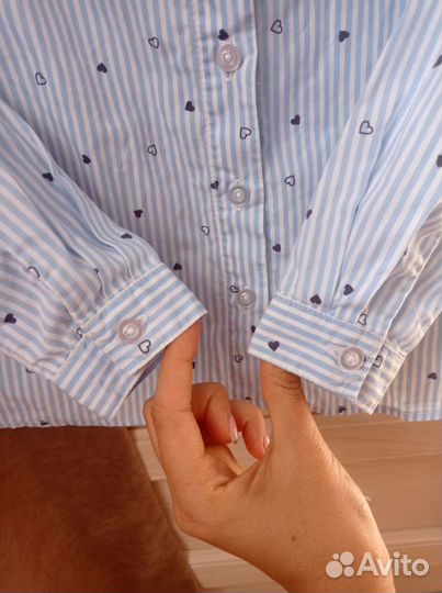 Блузки школьные acoola