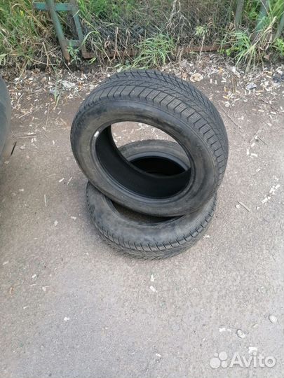 Nexen Winguard Ice Plus 195/60 R15