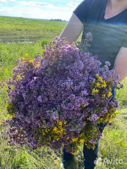 Веники для бани береза, дуб, липа