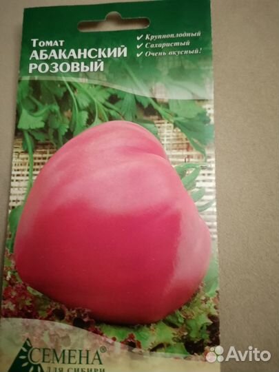 Рассада томатов