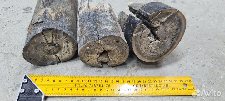 Бивень мамонта