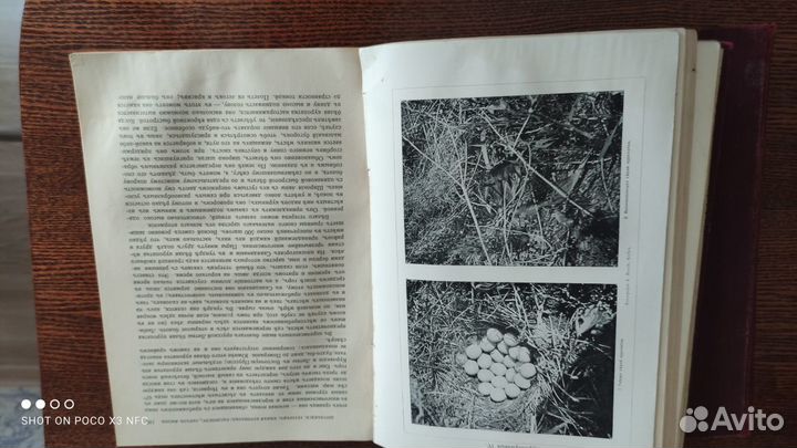 Старинные книги