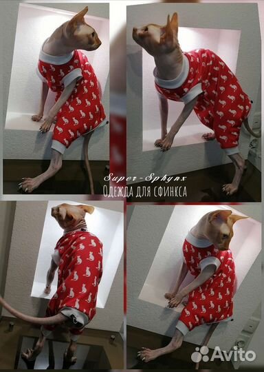 Одежда для сфинкса, кошек и собак на заказ