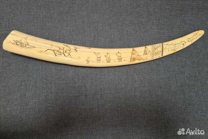 Бивень, клык