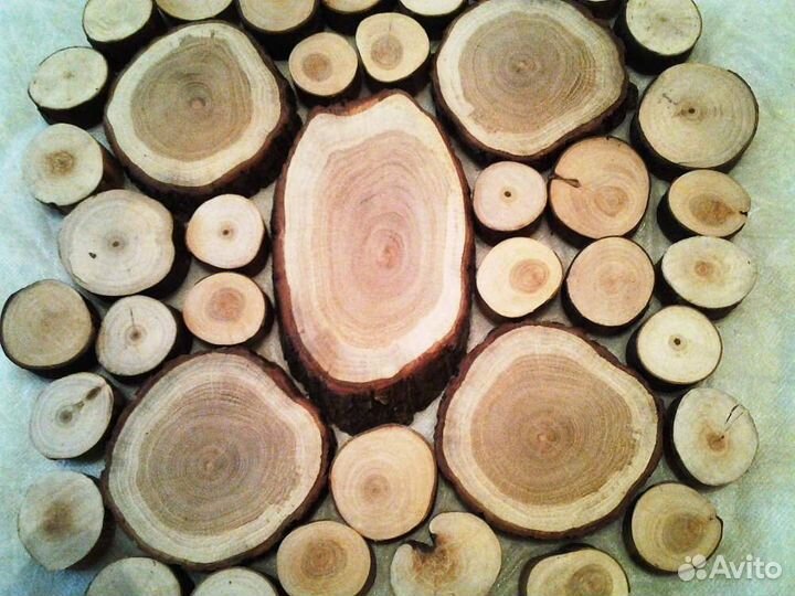 Cпилы деревьев для декора