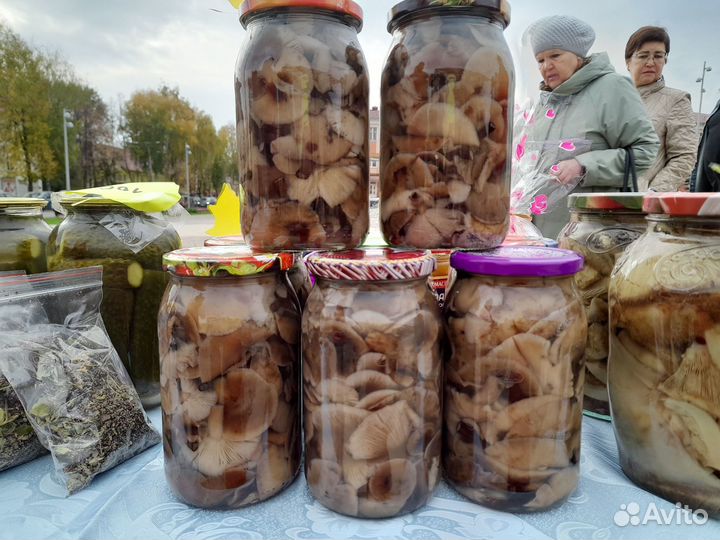 Грибы опята маринованные