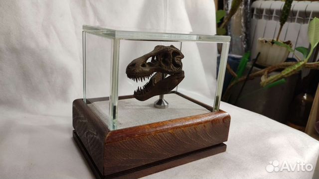 Стеклянный колпак для хранения предметов