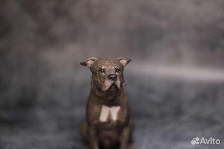 Модель собаки 1:6 стаффордширский терьер MR. Z