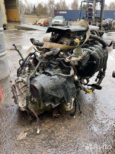 Двигатель 2AZ-FE Toyota Camry Camry V40 ACV40 ACV4