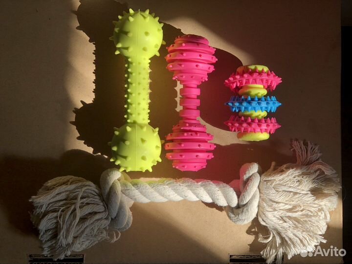 Шампунь, когтерез, игрушки для собак