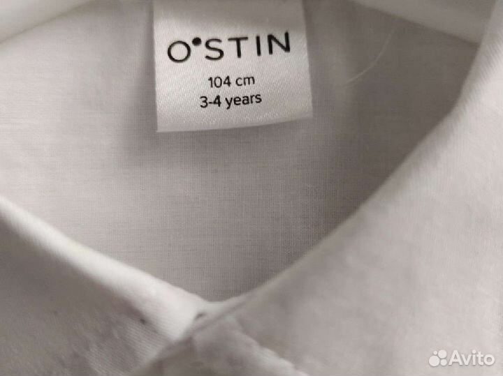 Белая рубашка, Остин, 104