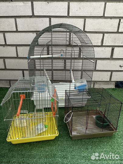 Клетки для грызунов