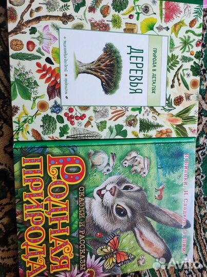 Детские книги пакетом