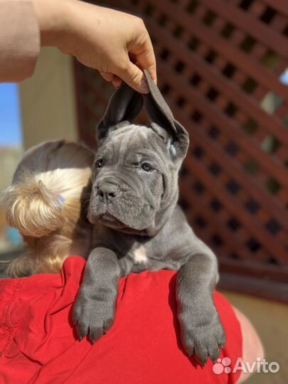 Открыт для вязок