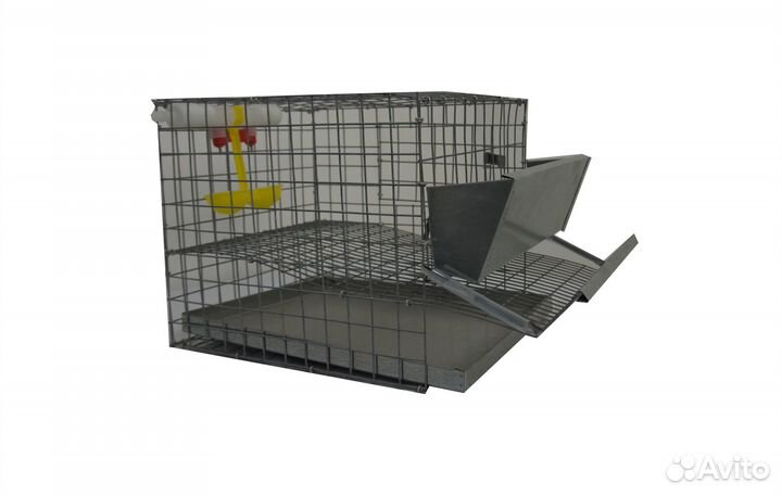 Клетки для перепелов