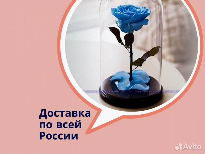 Розы в колбе разные