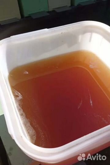 Мёд с собственной пасеки урожай 2024