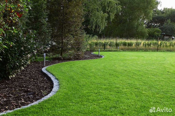 Рулонный газон /продажа/укладка