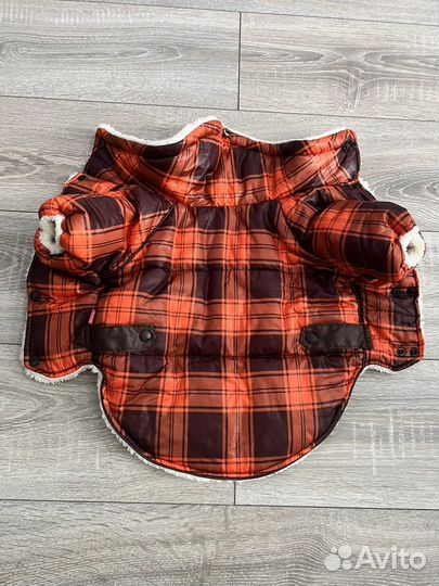 Одежда для собак