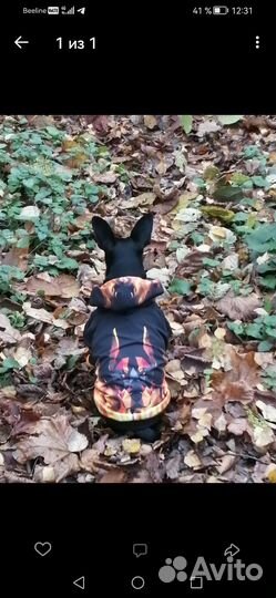 Бомбическая курточка