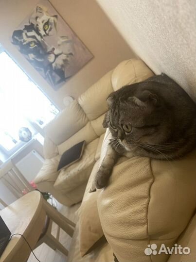 Картина маслом на холсте большая