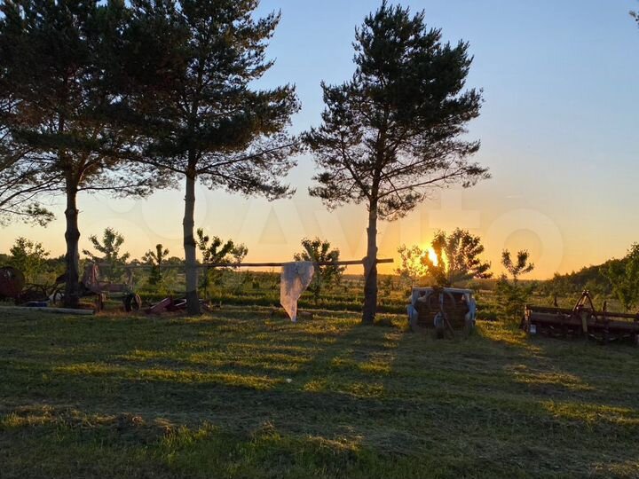 Участок 33,5 га (СНТ, ДНП)