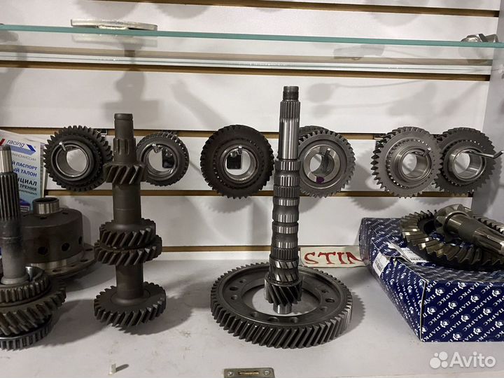 Главная пара Гранта Спорт 4.3 и 4.1