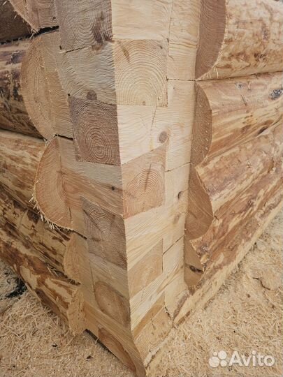 Срубы из бревна