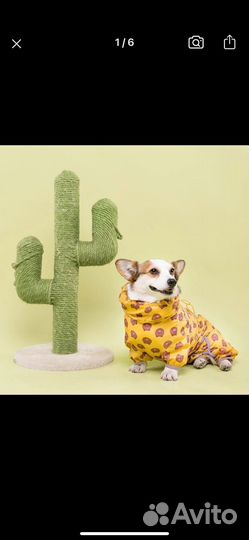 Дождевик для собаки