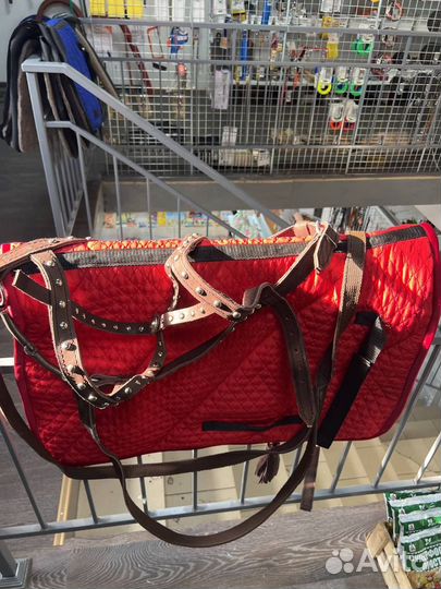 Шлея для лошади