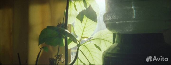 Плёночный фотоаппарат Prakrica p70 af