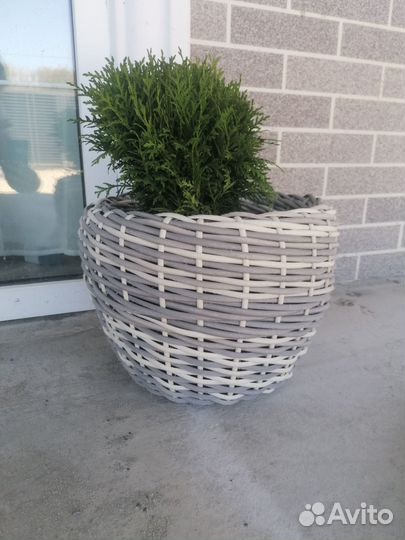 Кашпо из ротанга 12 литров