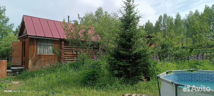 Сдаю дачу в уютном уголке природы