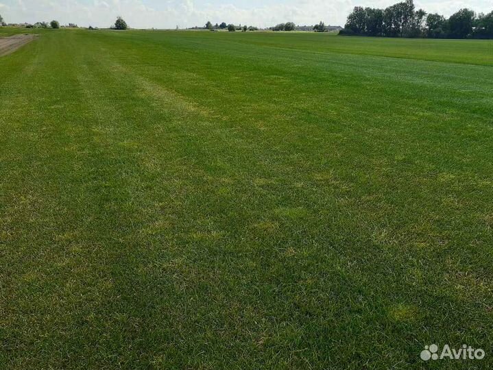 Укладка и продажа рулонного газона