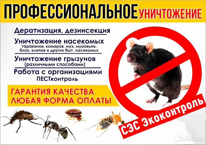 Обработка от клопов, клещей, кротов, комаров, крыс