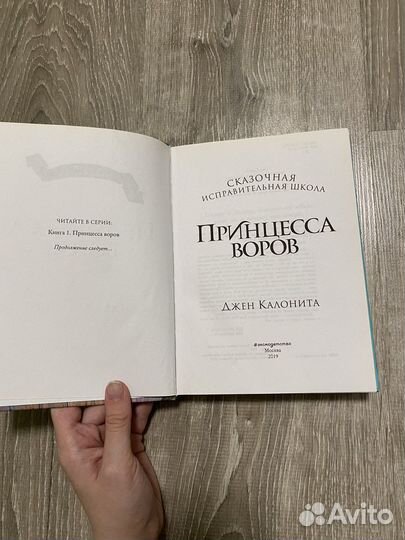 Книга «принцесса воров»